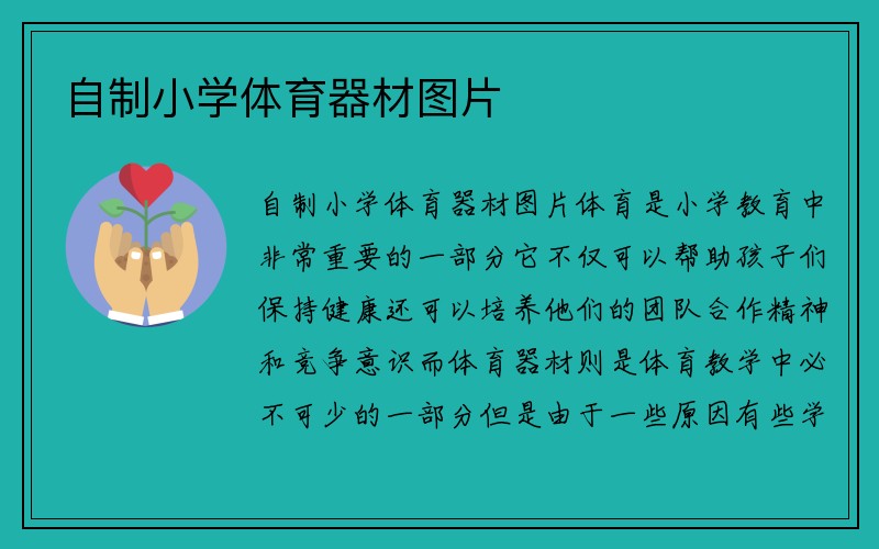 自制小学体育器材图片